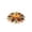 02_Fall Decor Mat 60x60 B, variant on Fall Doormat Pumpkin Maple Leaves Square Skidproof Mat 23.62x23.62in Polyester Skidproof & Soft for Bathroom Kitchen Porch Entryway Thanksgiving Fall Doormat by MPOISVA
