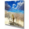 thumbnail image 2 of Leopard Feeding on Tree Trunk - Extra Large African Canvas Art Print, 2 of 3