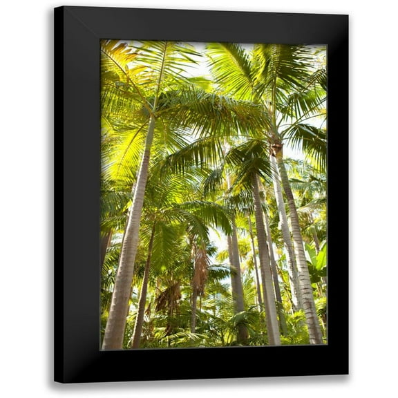 Millet, Karyn 11x14 Black Modern Framed Museum Art Print Titled - Tropical Oasis I