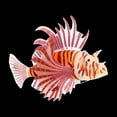 thumbnail image 6 of Unique Bargains Aquarium Artificial Lion Fish Ornament Glowing Simulation with Suction Cup Orange Purple Transparent, 6 of 7
