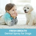 thumbnail image 5 of 5.83x1.50 Inch Fresh Breath Teeth Spray for Dogs Oral Hygiene Dental Care with Natural Mint Extract - Fights Bad Breath Maintains Oral Health, 5 of 9