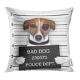 thumbnail image 1 of RYLABLUE Taie d'Oreiller Blanche Drôle Mugshot de Chien Recherché, 1 of 1