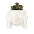 thumbnail image 4 of Dachshund Head Wall Planter, 4 of 4