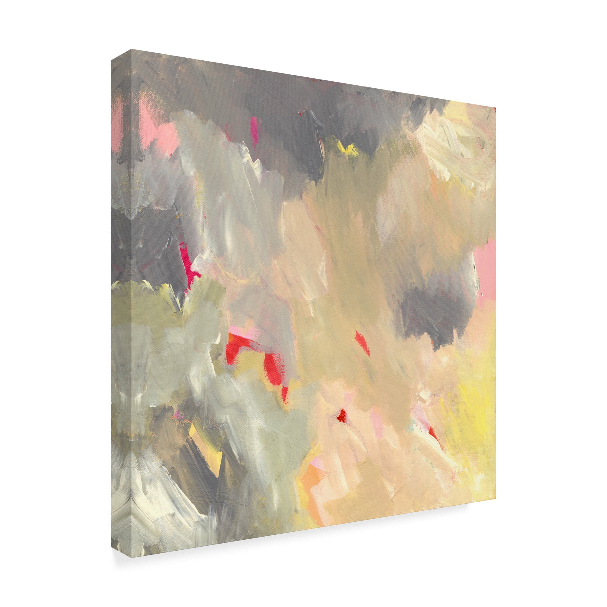 Trademark Fine Art 'The Storm - Abstract' Canvas Art by Jennifer McCully
