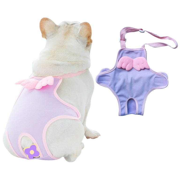 Adorable innerwear/ cat clothes for cats