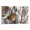 Frame-style, variant on Cute Bird Animal-f Poster Cool Artworks Painting Wall Art Canvas Prints Hanging Picture Home Decor Posters Gift 08x12inch(20x30cm)