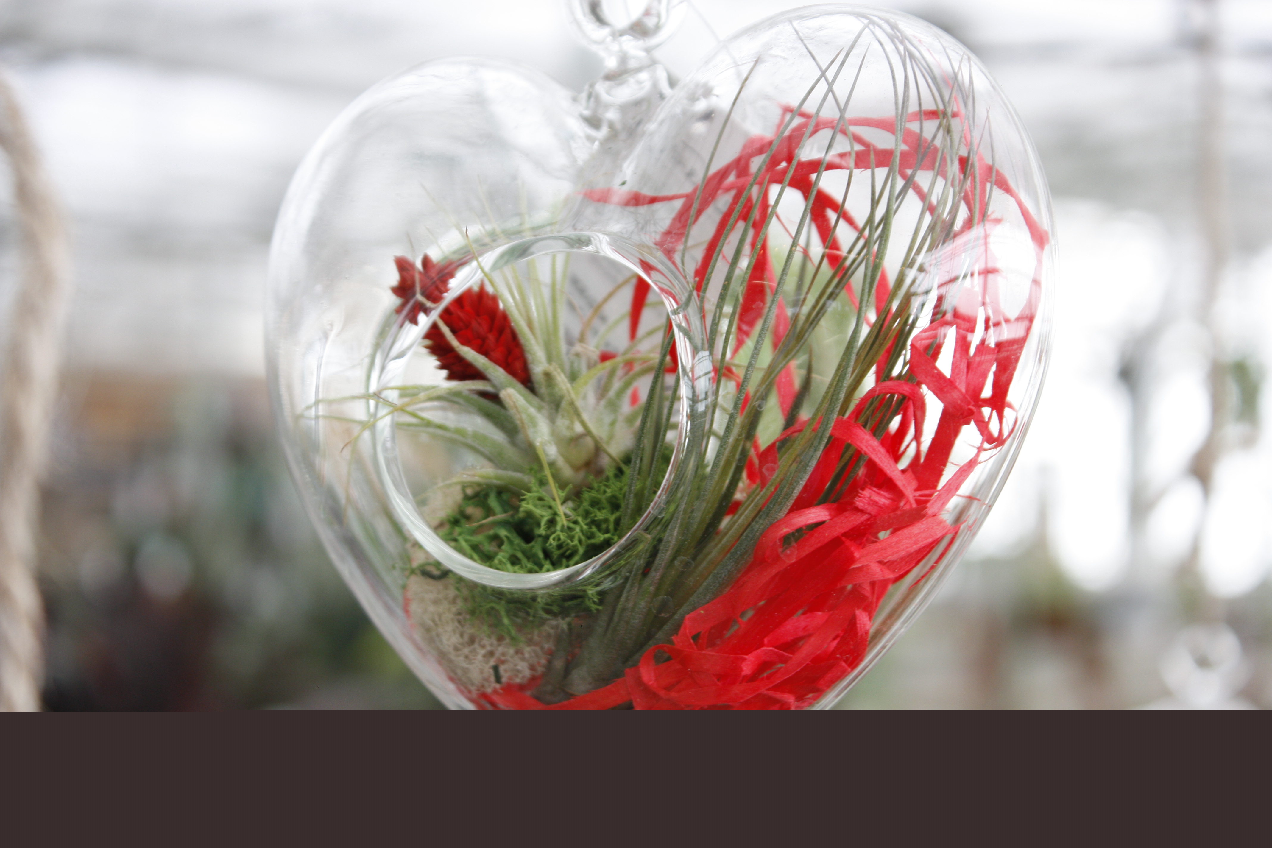 thumbnail image 6 of WGV Clear Small Heart Terrarium - 5" Wide x 5" Height, Good quality, Heavy Weighted Base - 1 Pc, 6 of 8