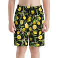 thumbnail image 2 of Rocae Lemon Fruits Flowers Leaves for Teen Beach Trunks Boys Swim Trunks with Compression Liner Quick Dry Board Shorts, 2 of 9