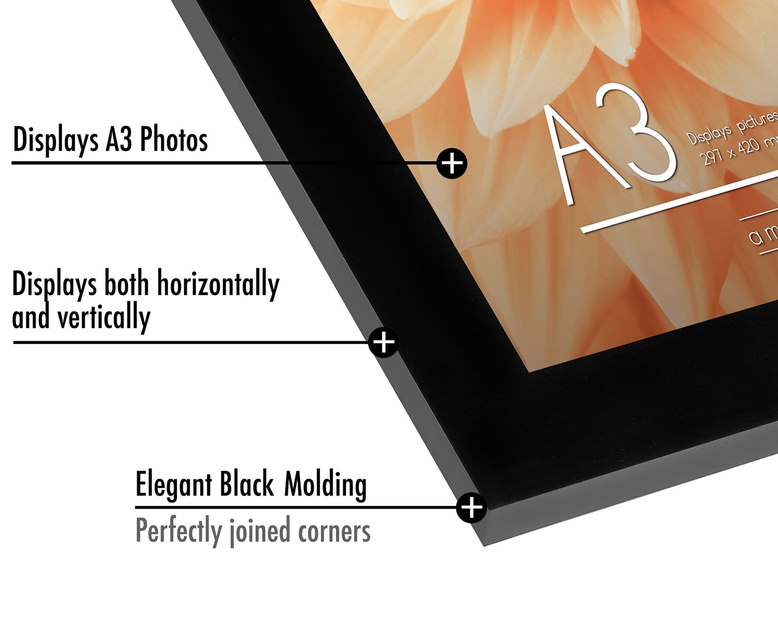 Americanflat 11.7x16.5 Poster Frame with Shatter-Resistant Glass 2 Pack horizontal vertical formats perfect - Black