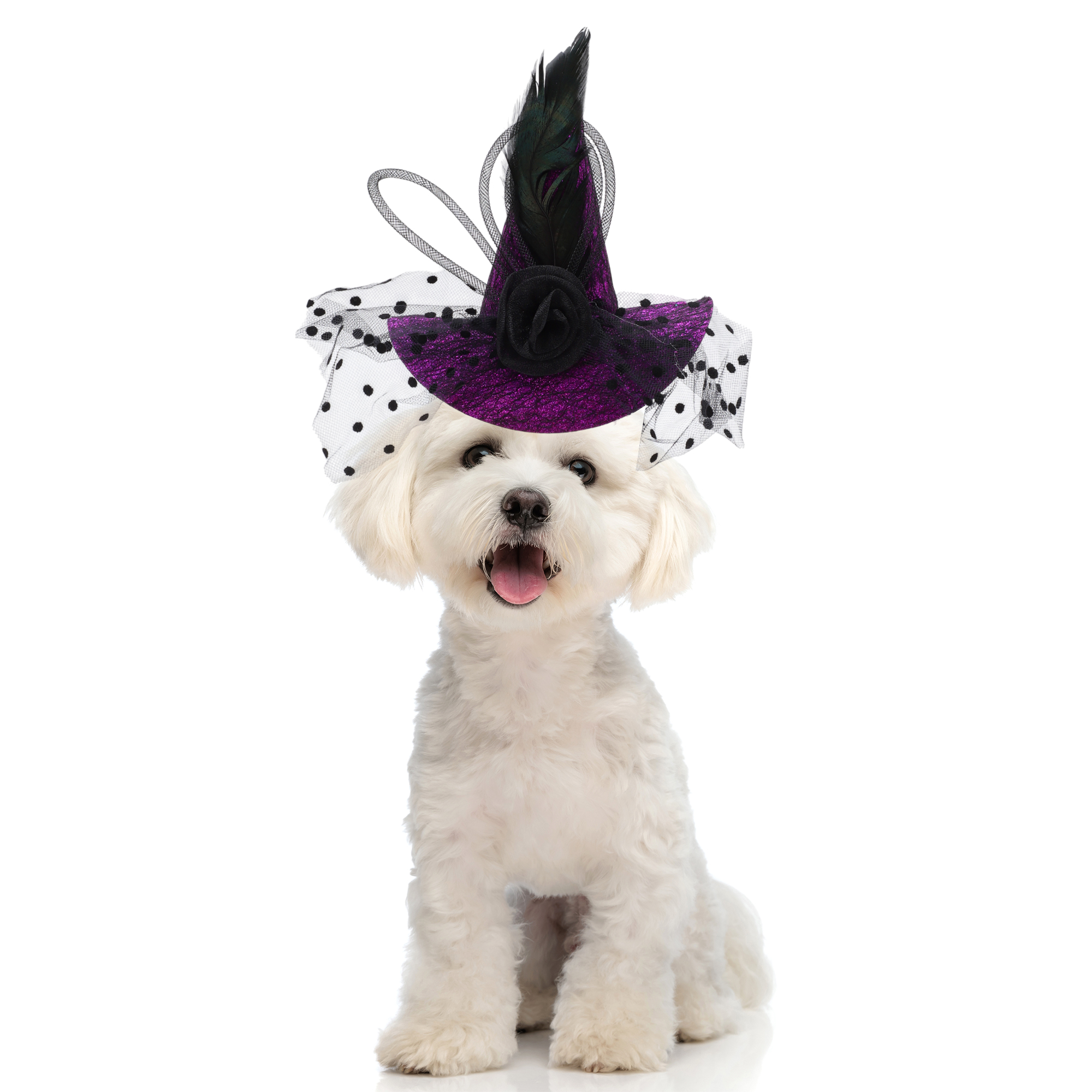 Unique Bargains Halloween Pet Headwear 5.12"x5.91" Purple 1 Pc for Furry Friend