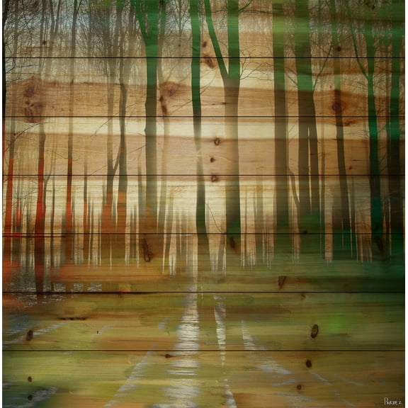 Parvez Taj 24-Inch x 24-Inch Ajax Pine Wood Wall Art