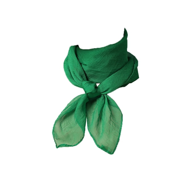 Qarigey Bufanda de gasa Estilo coreano Chica Ornamento Pañuelo pequeño Diseño delgado Pañuelo de mujer para el trabajo Casa Viajes Compras Verde Type3 NO3 Qarigey AP009771-02B