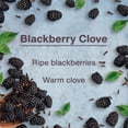 thumbnail image 5 of Little Trees Air Freshener Blackberry Clove Fragrance 3-Pack, 5 of 12