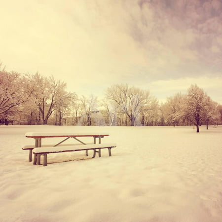 A Scenic Cold Winter Landscape with Snow and Trees Toned with an Instagram like Warm Filter Print Wall Art By