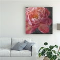 thumbnail image 3 of Trademark Fine Art 'Vivid Floral I Crop' Canvas Art by Danhui Nai, 3 of 3