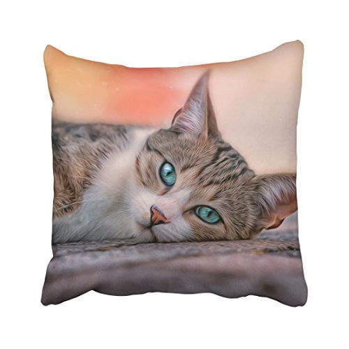 RYLABLUE Cute Cat Lie On The Ground Blue Eyes Stripes Decorative Pillowcases With Hidden Zipper Decor Cushion Covers Two Sides 20x20 inches
