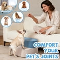 thumbnail image 4 of Blue Foam 2-in-1 Pet Stairs Convertible Pet Steps for Small Dogs & Cats, 4 of 6