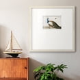 thumbnail image 5 of Standing PeacockPremium Framed Print, 5 of 5