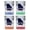 Multicolor (4-Pack), variant on Warner Robins Georgia Design B Souvenir 2 oz Square Shot Glass Orange