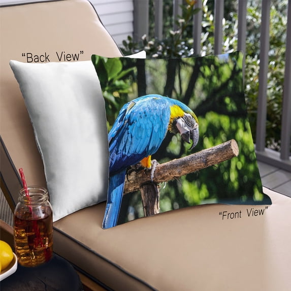 Ahgly Company Animals Parrot Outdoor Throw Pillow, 18 inch by 18 inch