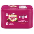 thumbnail image 1 of Canada Dry Cranberry Ginger Ale 222 mL Mini-Can 6 Pack, 1 of 2