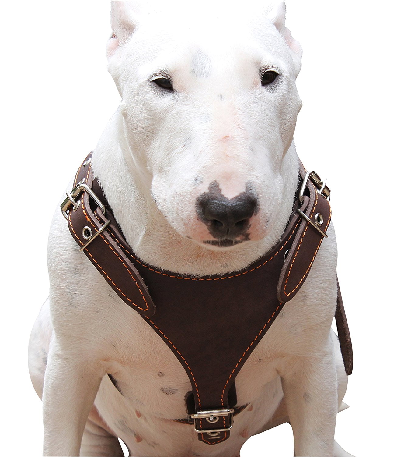 Brown Genuine Leather Dog Harness, Medium. 25'30' Chest, 1' Wide