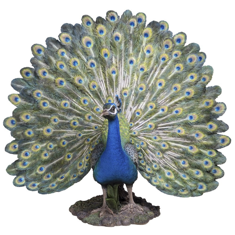 Majestic Peacock Spreading Its Proud Wings Colorful Plumage Statue