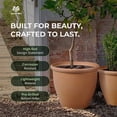 thumbnail image 4 of Worth 2 Pack 15" Round Planters, Large Plastic Plant Pots with Drainage Hole, 4 of 10