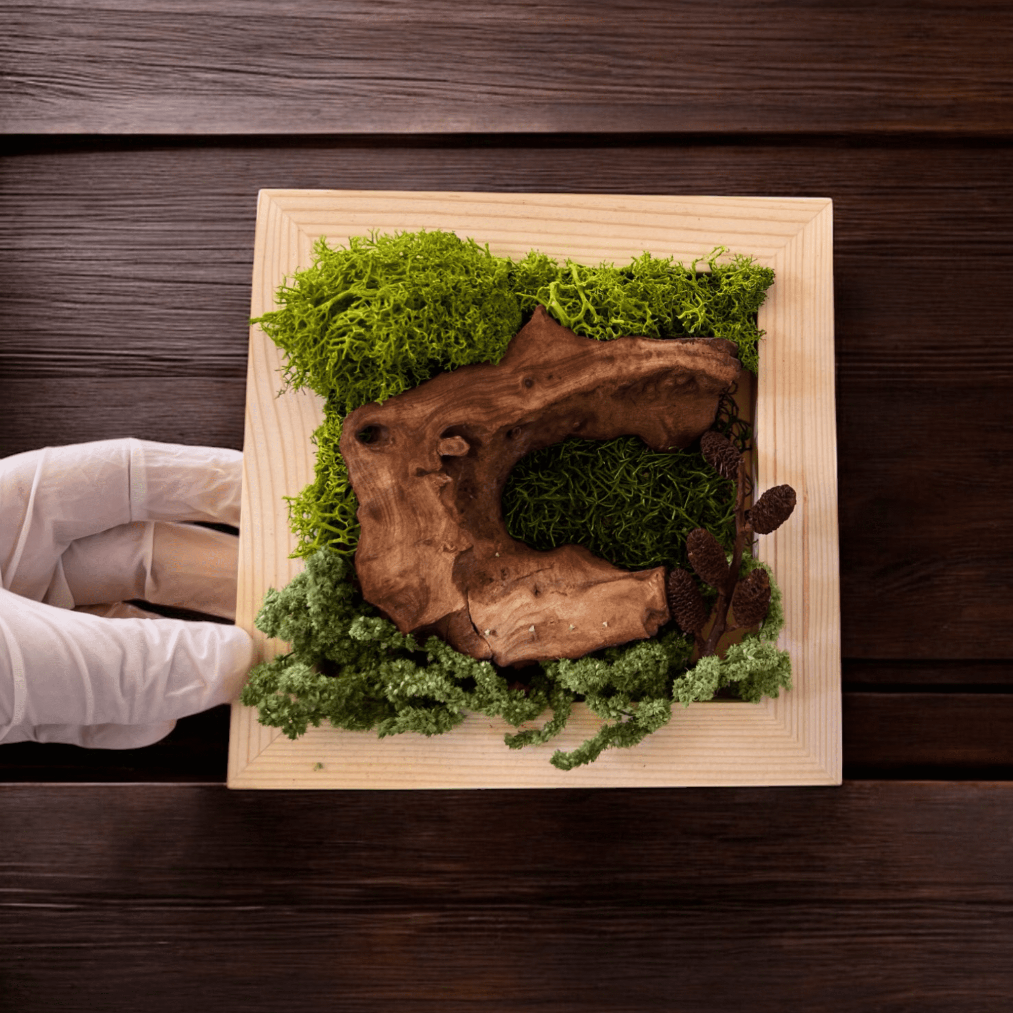 DIY Moss Wall Art Kit, Craft Project, Natural Gift, 10"