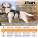 thumbnail image 2 of Arnés para perros Rabbitgoo Escape Proof Full Body M negro, 2 of 9