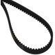 thumbnail image 1 of Bestorq 1216-8M-20 8M Correa Dentada Goma 1216 Mm Circunferencia Exterior 20 Mm Ancho 8 Mm Paso 152 Dientes, 1 of 1