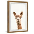 thumbnail image 2 of Llama Face II Framed Painting Print, 2 of 6