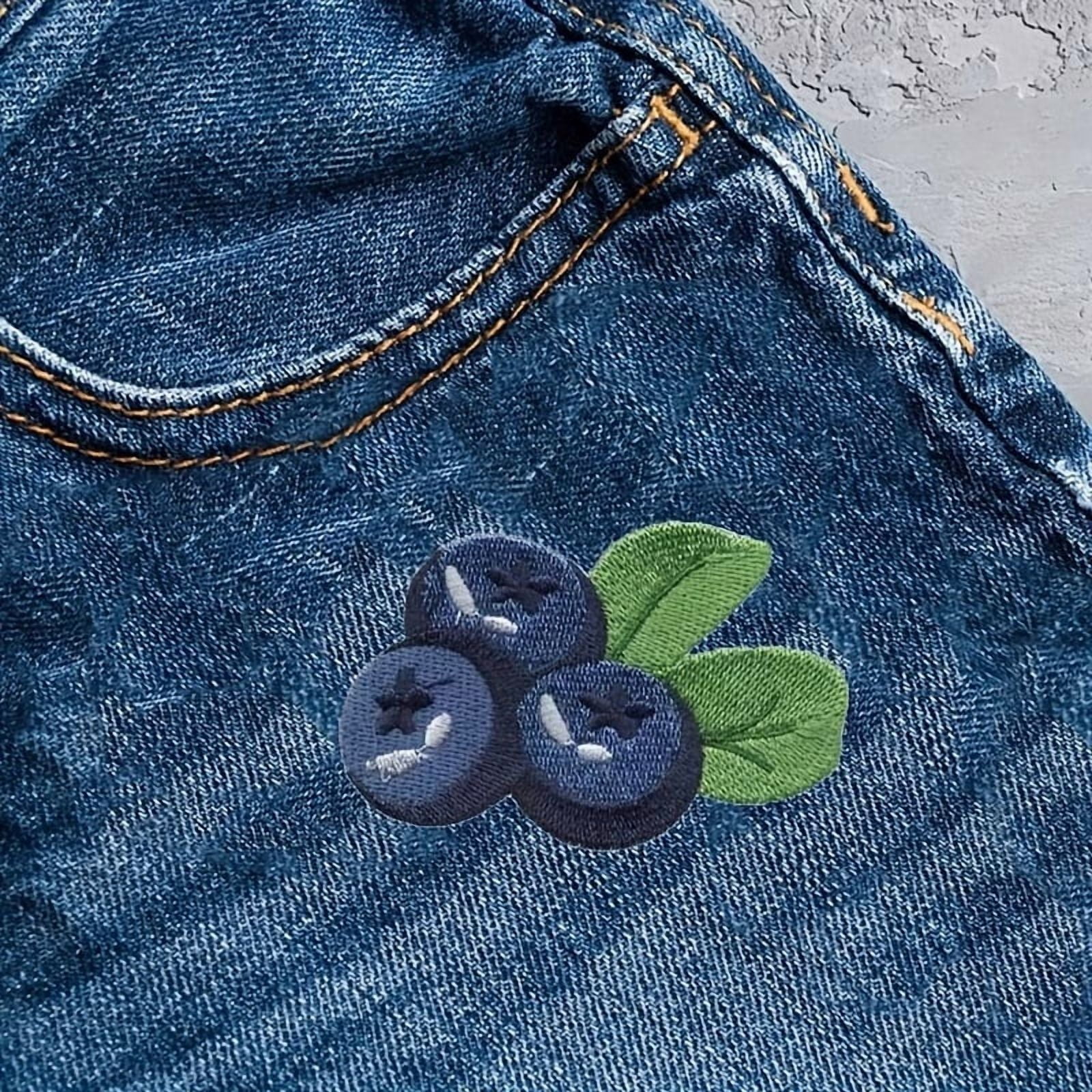 Blueberry Design Iron-On Emblem - Fruit Design Sewn Patch for Coats, Shirts, Backpacks, and Caps