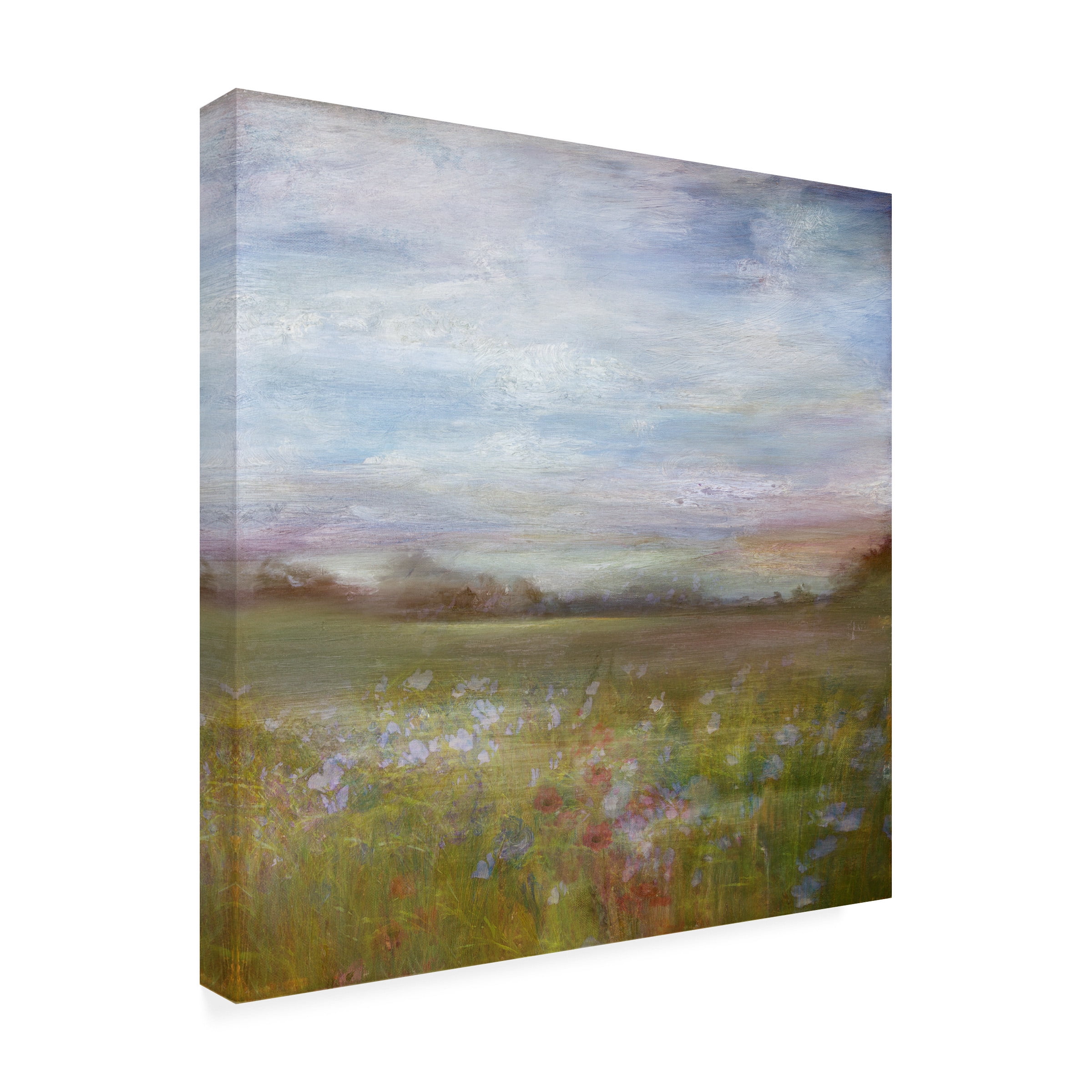 Sidney Paul and Co. 'SYD 450 Light' Canvas Art