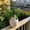 A2_13.78" Green, variant on SMKE Fake Habitat Plants,Fake Leaf Bushes,Fake Green Shrubs,Hanging Terrarium Plants,Fake Plant Branches,Artificial Greenery Foliage Bush,12.6-Inch Green DIY Leaves for Flower Arrangement,Vase Decor