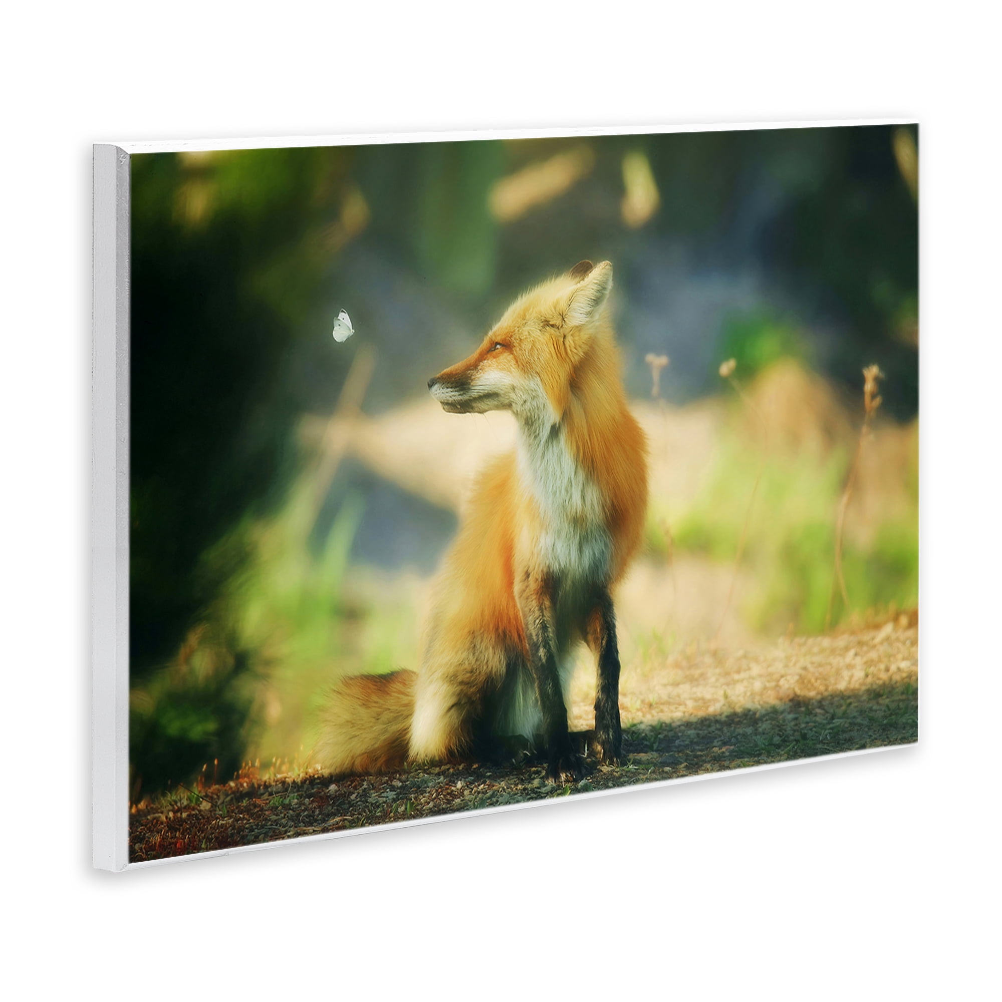 Stupell Industries Fox Kit & Butterfly Animals & Insects Photography Unframed Art Print Wall Art, 19 x 13