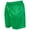 Green, variant on Precision  Adult Continental Striped Football Shorts