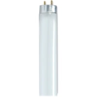 

Satco 32-watt 48\\ T8 Fluorescent Bulbs - 32 W - 120 V AC - 3050 lm - T8 Size - Cool White Light Color - 24000 Hour - 6920.3°F (3826.8°C) Color Temperature - 85 CRI - 6 / Carton