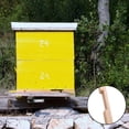 thumbnail image 3 of Pack of 4 Entrance Reducer Wood Entrance Protector Beekeeping Supplies Entrance Accessories, 3 of 6