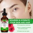 thumbnail image 3 of Aliver Monarda Essential Oil 3 Pack, Skin and Hair Moisturizer, Pure and Natural, 3 of 9