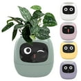 thumbnail image 5 of SPRING Smart Flower pot: The Interactive Gardening Companion for Effortless Plant Care! yellow, 5 of 5
