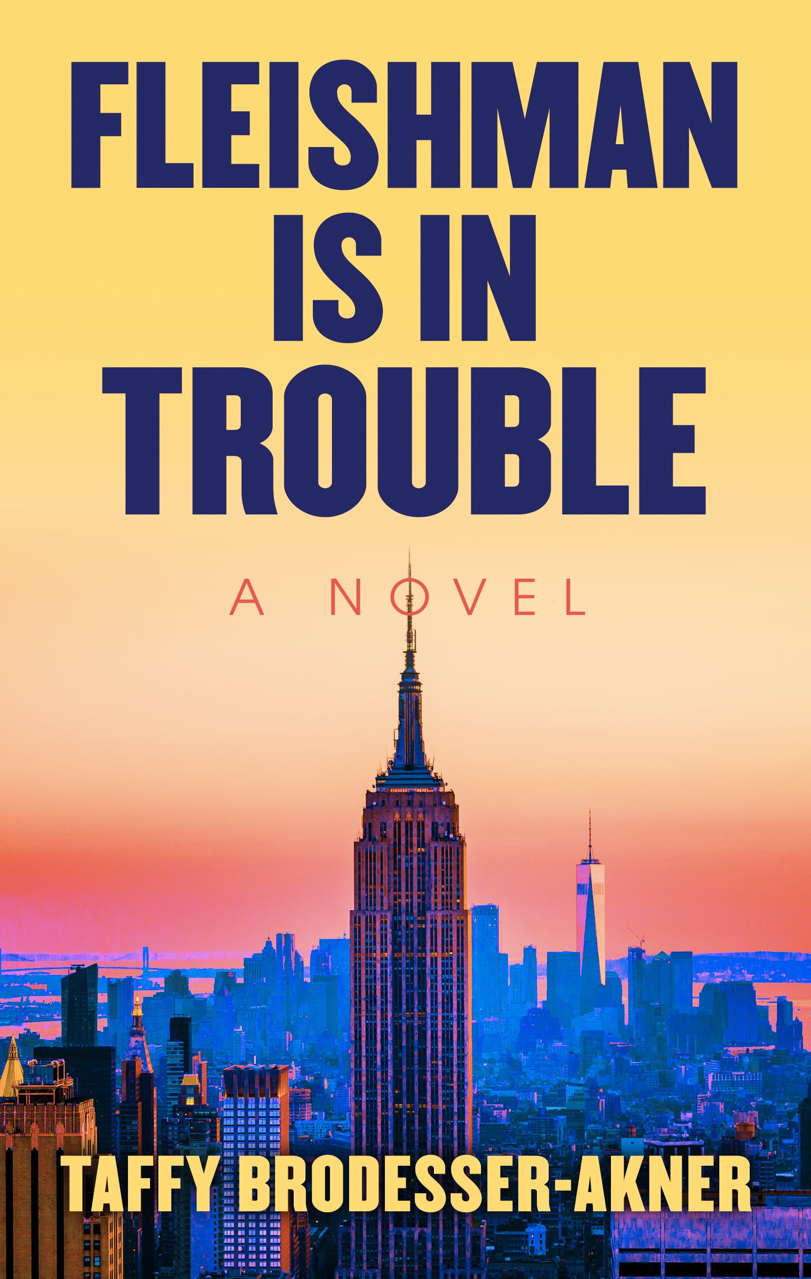 Fleishman Is in Trouble (Hardcover)(Large Print)