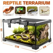 NEPTONION Mini Reptile Glass Terrarium 12'' x 8'' x 6'' For Small Reptile with Feeding Slot & Lock
