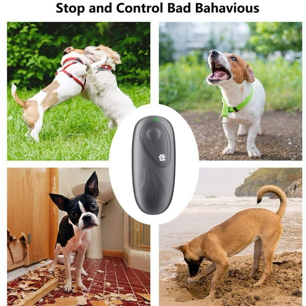 Dog top control devices