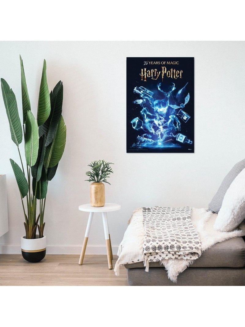Harry Potter (25 Years of Magic) MightyPrint™ Wall Art MP17241114