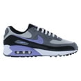 thumbnail image 2 of Men's Nike Air Max 90 Photon Dust/Light Thistle (DM0029 014) - 9.5, 2 of 4