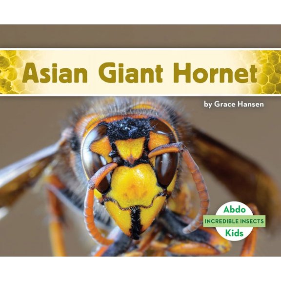 Incredible Insects Asian Giant Hornet, (Hardcover)
