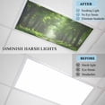 thumbnail image 4 of Green Trees Fluorescent Light Covers, Forest Art Decor Spring Summer Nature Leaf Magnetic Light Covers for Ceiling Lights, Fluorescent Ceiling Shade Filters for Classroom Bedroom Office 4x2Ft x 3PCS, 4 of 8