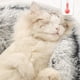 thumbnail image 5 of La cueva más nueva de la cama del gato, casa de la cama del gato del donut de la felpa de los 40cm, sofá de la almohada del animal doméstico de la piel sintética oso de fresa Electrónica, 5 of 5