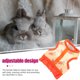 thumbnail image 3 of WEUVEB 1Jgo Arnés Ajustable Para Con Cuerda Resistente Para Pequeñas Mascotas, 3 of 5